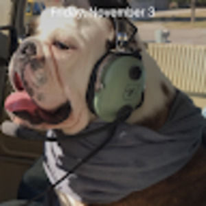 Meet your Posher, Mig